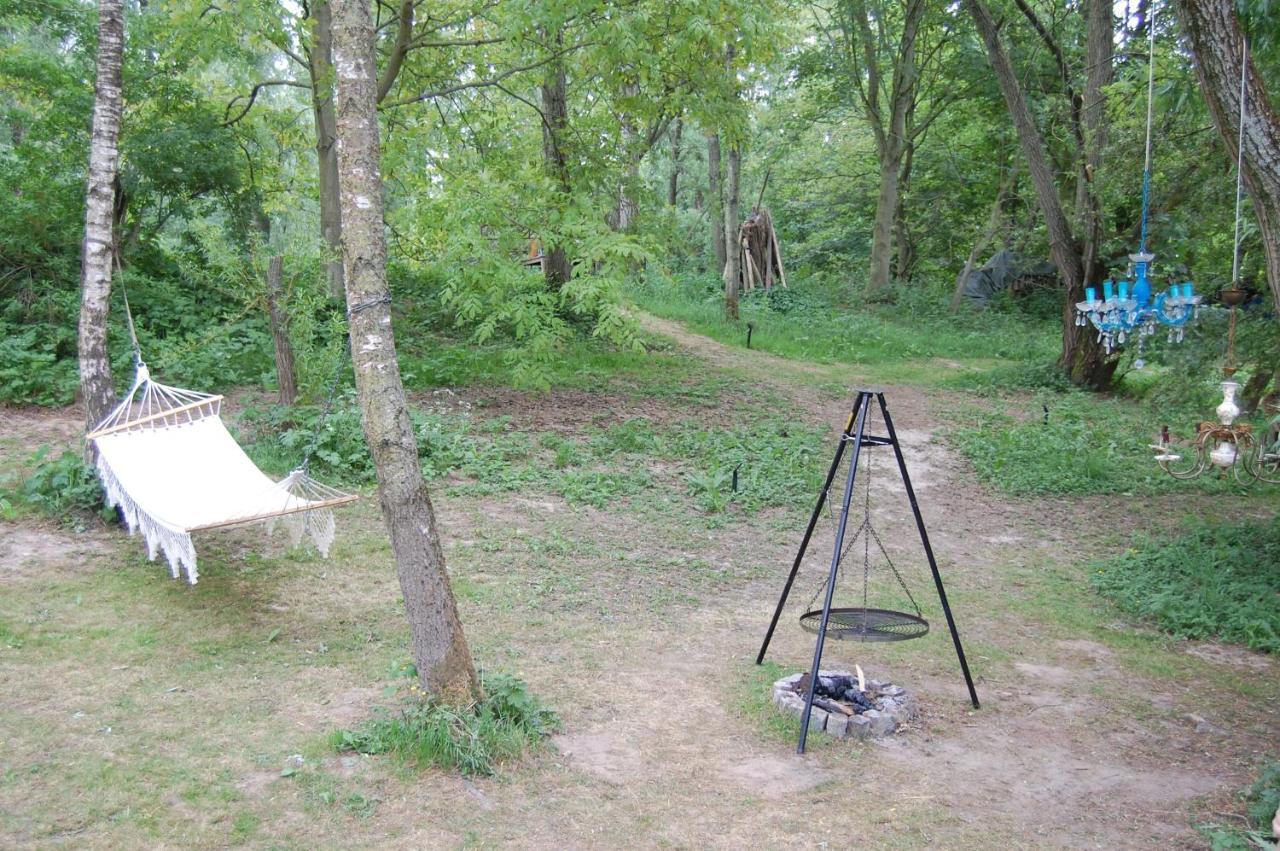 Pipowagen/paardentram * Dreumel