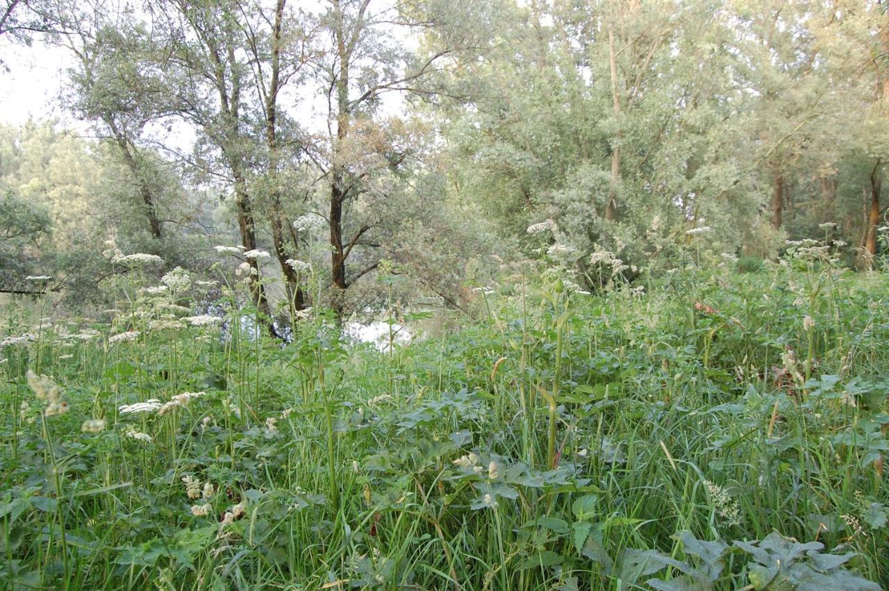 Pipowagen/paardentram