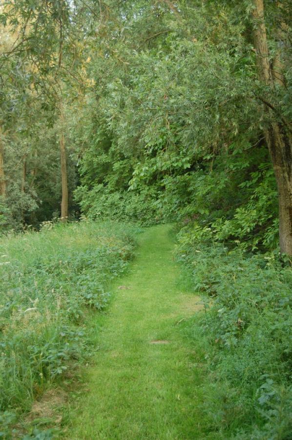 Pipowagen/paardentram
