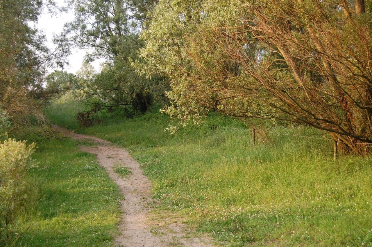 Pipowagen/paardentram Dreumel