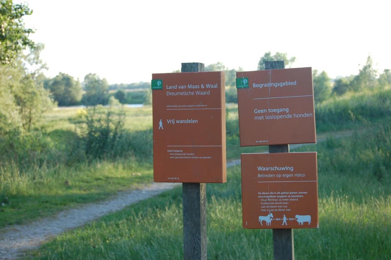 Pipowagen/paardentram Dreumel
